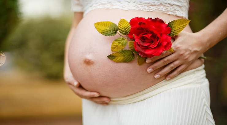 Mille euro al mese per chi sta a casa a fare la mamma: la proposta del popolo della famiglia che fa molto discutere